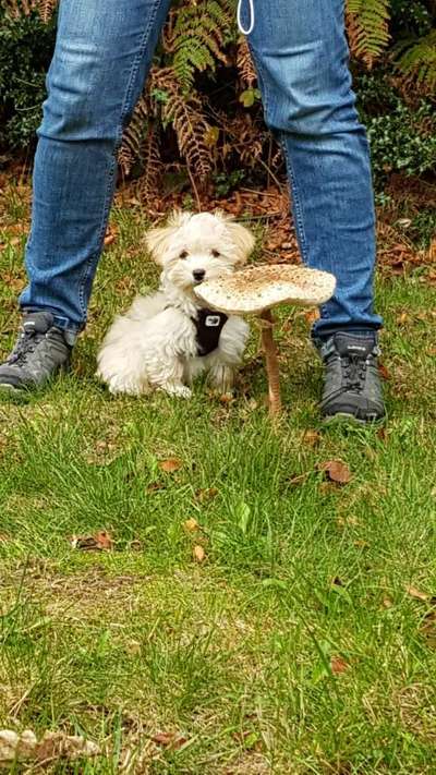 Foto Challenge 3-Beitrag-Bild