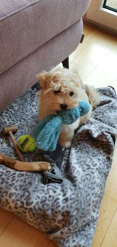 Foto Challenge die Vierte-Beitrag-Bild