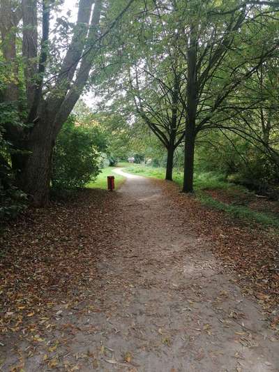 Hundeauslaufgebiet-Möhlenort/Lampestraße -Bild