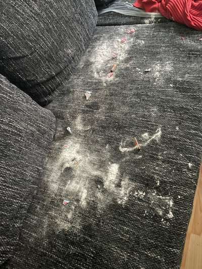 Zeig mir, dass du mit einem hund zusammenlebst....-Beitrag-Bild