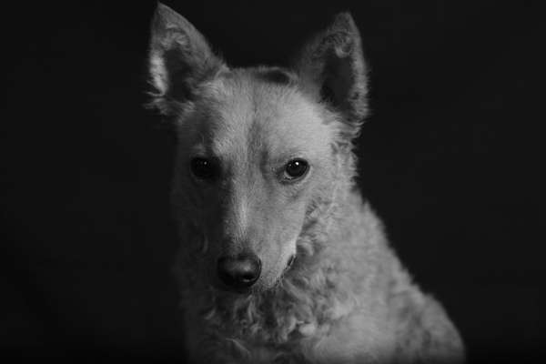 Fotochallange Nr. 57     PORTRÄT.   Beendet!!!!!!!!-Beitrag-Bild