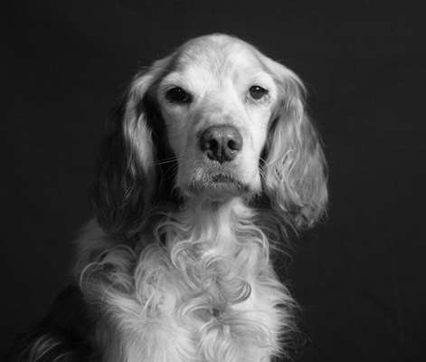 Fotochallange Nr. 57     PORTRÄT.   Beendet!!!!!!!!-Beitrag-Bild