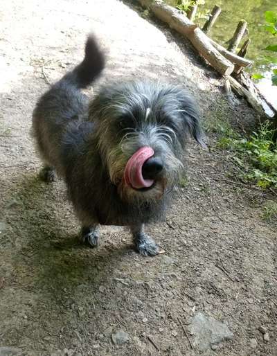 Tongue Out Tuesday-Beitrag-Bild