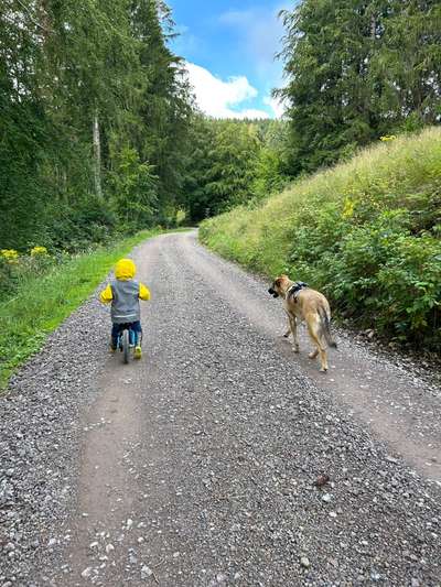 TierschutzhundeStammtisch🐕-Beitrag-Bild