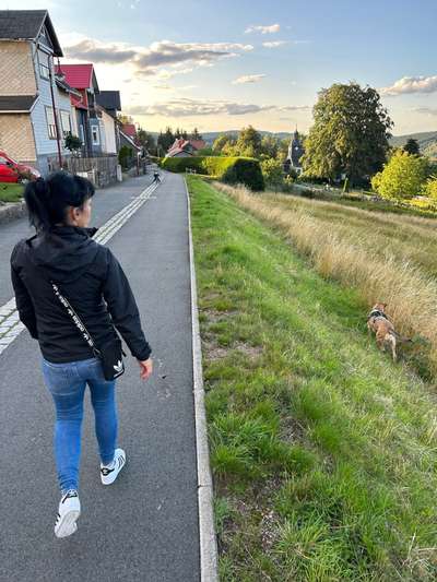 TierschutzhundeStammtisch🐕-Beitrag-Bild