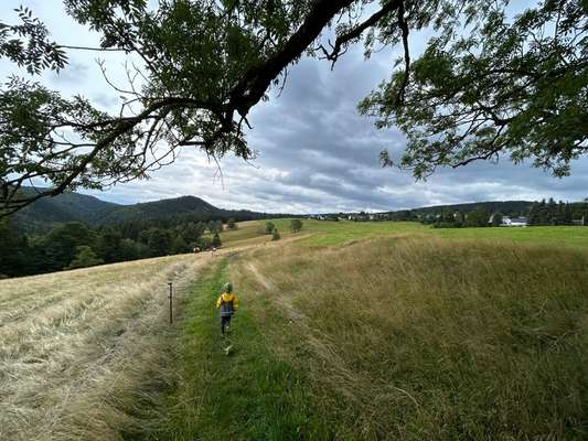 TierschutzhundeStammtisch🐕-Beitrag-Bild