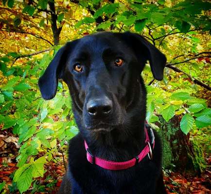 Fotochallange Nr. 57     PORTRÄT.   Beendet!!!!!!!!-Beitrag-Bild