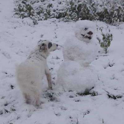 35. Handy Foto Challenge - Das nasse Element-Beitrag-Bild