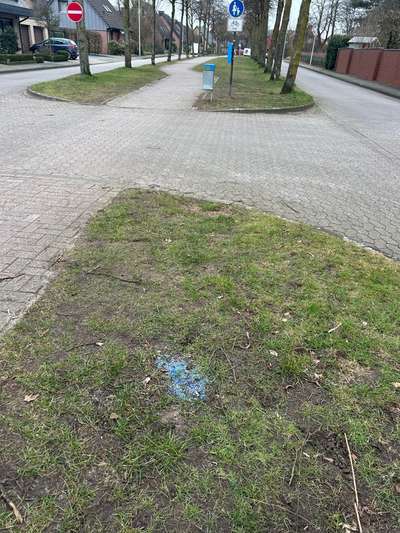 Giftköder-Blaues Korn (vielleicht Schneckenkorn?)-Bild