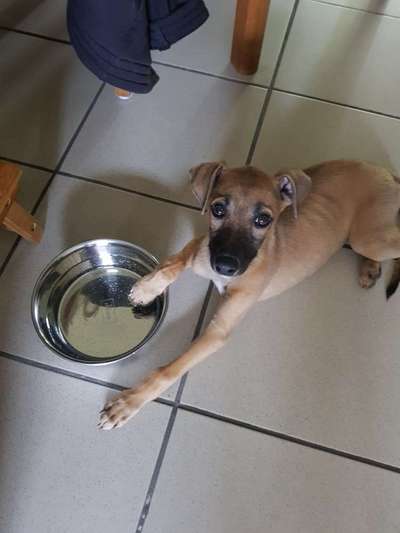 Foto Challenge 3-Beitrag-Bild