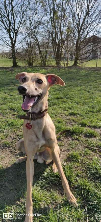 Immer lächeln !-Beitrag-Bild