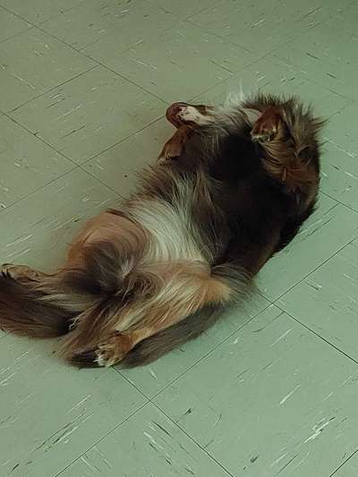 Schlafposition-Beitrag-Bild