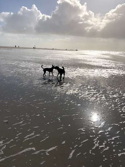 Fotochallenge Nr.105  Glücksmomente-Beitrag-Bild