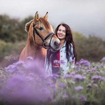 Hundetreffen-Trainingseinheit mit meinem kleinen-Profilbild