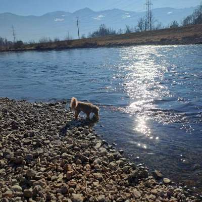 aktuelles Foto Gruppe Körpersprache lesen & verstehen