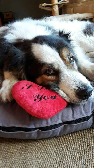 Lieblingsbild-Beitrag-Bild