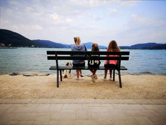 Challenge 41 - Mein Hund im Urlaub-Beitrag-Bild