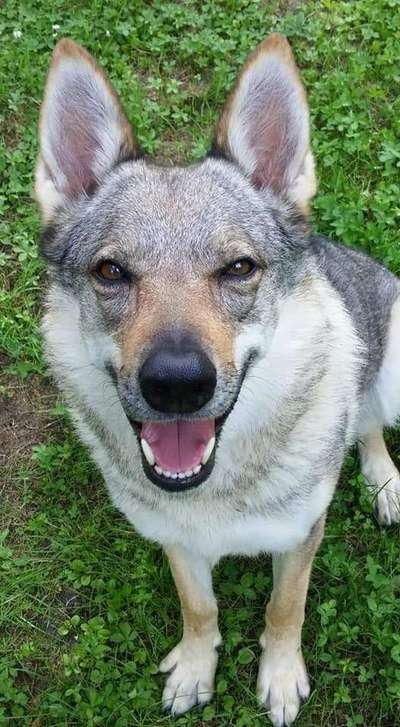 Immer lächeln !-Beitrag-Bild