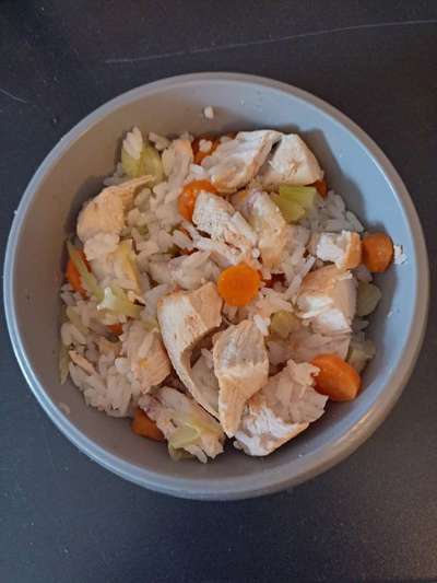 Zeigt her Eure Futternäpfe-Beitrag-Bild