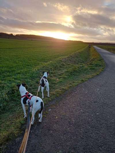 Sonnenaufgänge oder - untergänge-Beitrag-Bild