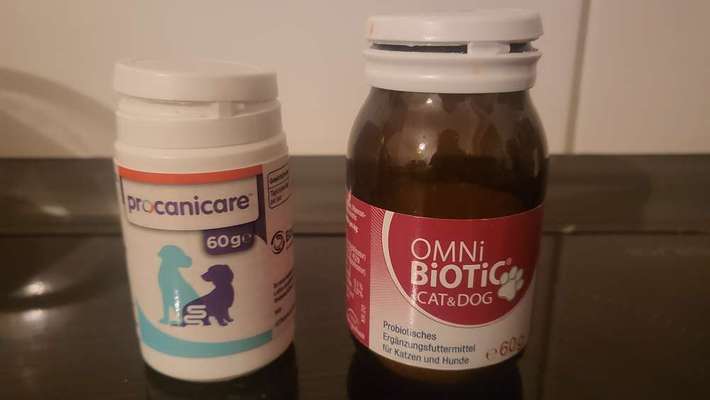 Giardien-Beitrag-Bild