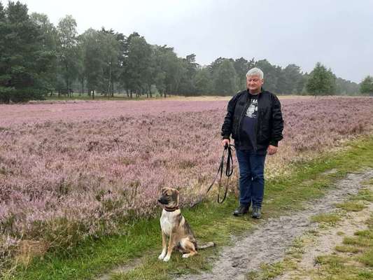 Hundetreffen-Hundetreffen in Walsrode und Umgebung-Bild