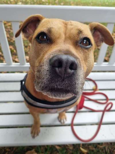 Von oben-Beitrag-Bild