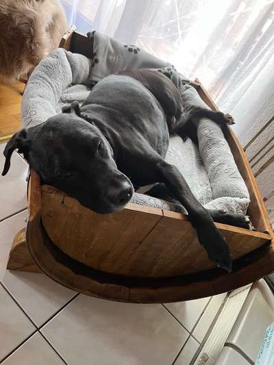 12. Farben Foto Challenge --- Braun-Beitrag-Bild