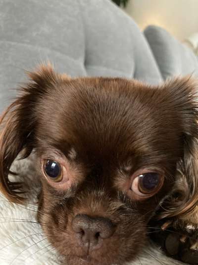 Lieblingsbild-Beitrag-Bild