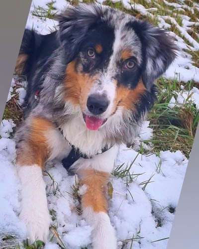 Fotochallenge 61 ~ Schnee-Beitrag-Bild