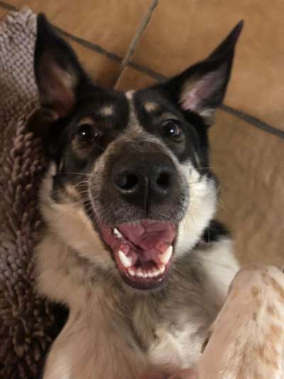 Lieblingsbild :D-Beitrag-Bild