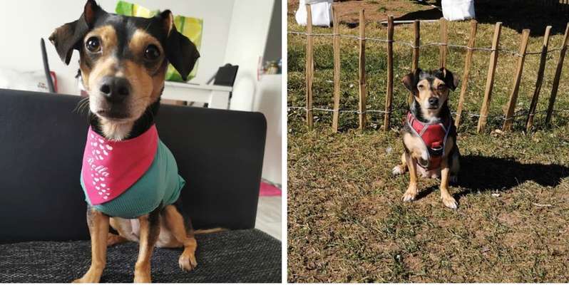 Ibd Verdacht-Beitrag-Bild