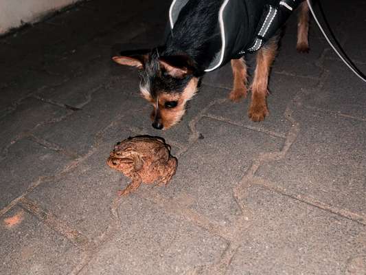 Ratespaß geht weiter-Beitrag-Bild