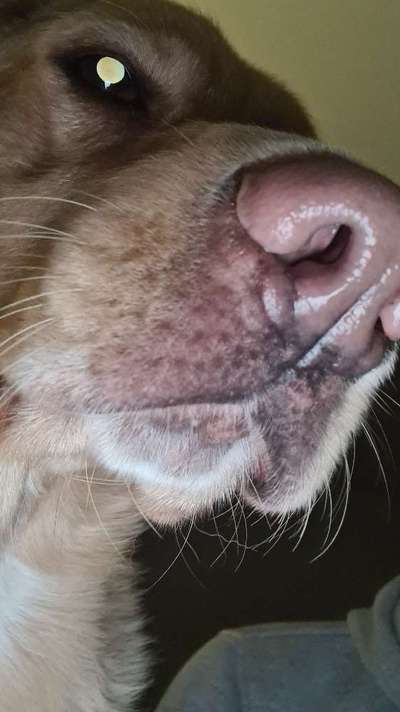 42. Handy Fotochallenge - Den richtigen Riecher haben-Beitrag-Bild