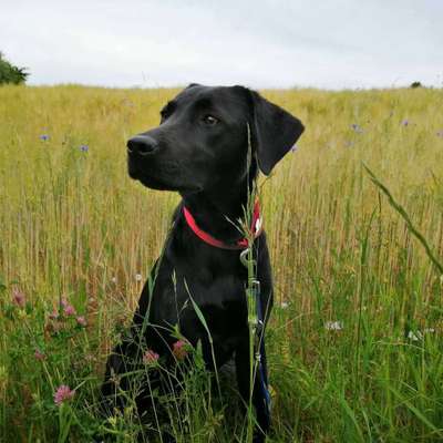 Lieblings Schnappschuss?-Beitrag-Bild