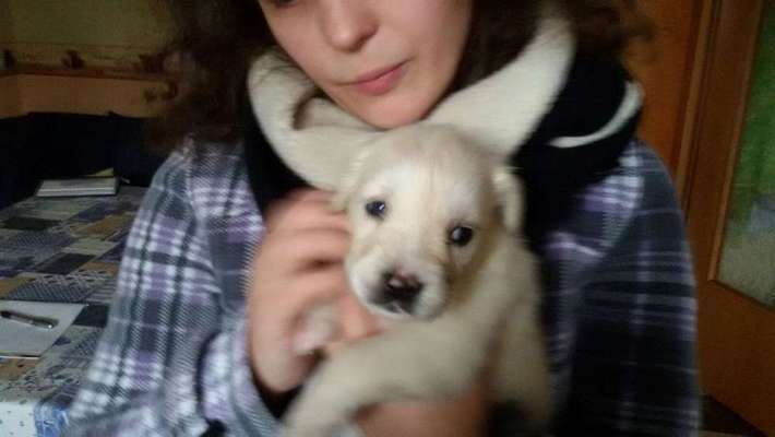 Vorher.... Nachher-Beitrag-Bild