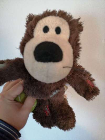 Quietschies-Beitrag-Bild