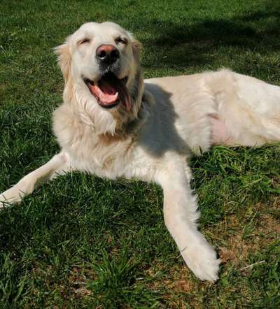 Immer lächeln !-Beitrag-Bild