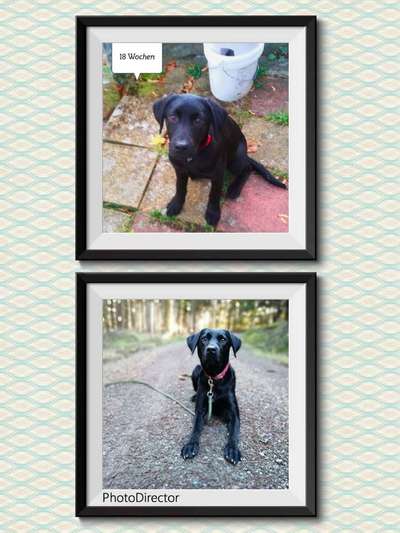 Vorher.... Nachher-Beitrag-Bild