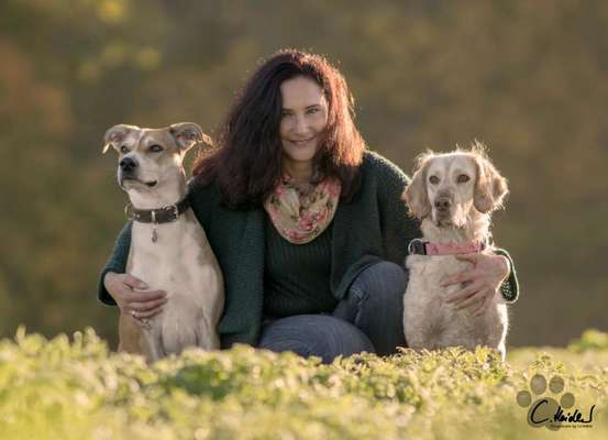 Die Dogorama Monats Challenge "Es grünt und blüht"-Beitrag-Bild