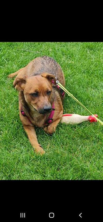 FOTO-Challenge  NR. 91: Die pure Entspannung-Beitrag-Bild