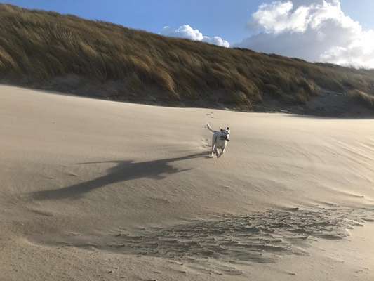 Fotochallenge Nr 50 Vom Winde verweht-Beitrag-Bild