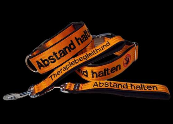 HALSBAND FÜR MITTELGROßE HUNDE-Beitrag-Bild