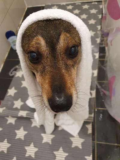 22. Handy Foto - Challenge-Beitrag-Bild