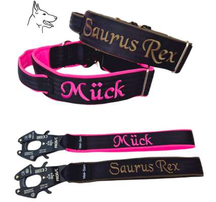 Halsbänder-Beitrag-Bild