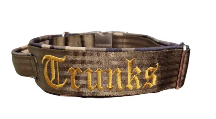 Halsbänder-Beitrag-Bild