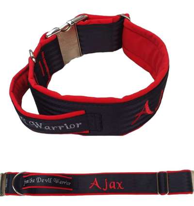 Halsband ab 45 kg oder stabiles Geschirr ?-Beitrag-Bild