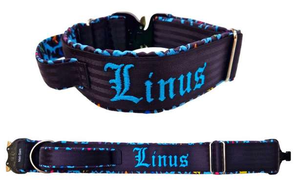 HALSBAND FÜR MITTELGROßE HUNDE-Beitrag-Bild