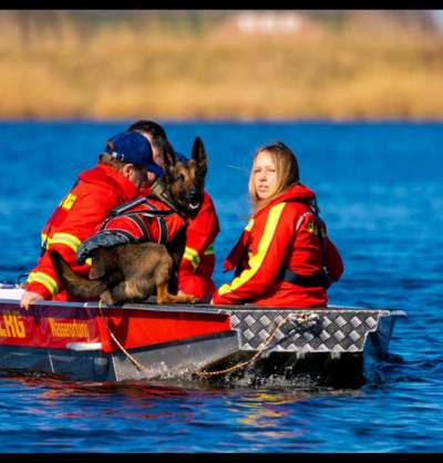 Welche "Jobs" haben eure Hunde?-Beitrag-Bild