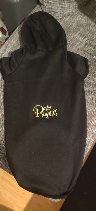 Hundesachen von Temu-Beitrag-Bild